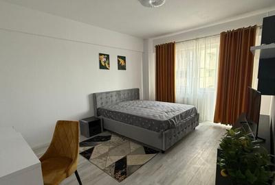 Garsonieră decomandată în Podu Roș - 15