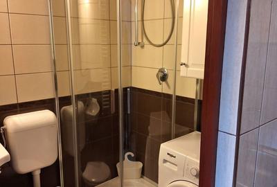 Garsonieră, mobilată în Aradului - 3