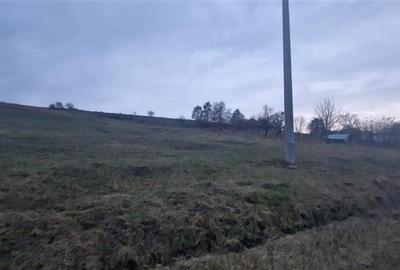 De vanzare teren 1,2 Ha in Laureni De vanzare teren 1,2 Ha in Laureni - 6