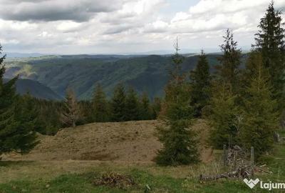 Teren de 15841 mp, în Muntele Rece - 3