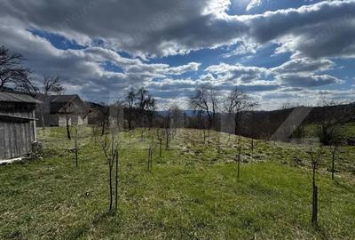 Casa la munte, teren 8324 mp, anexe, zona comuna Bucium - 3