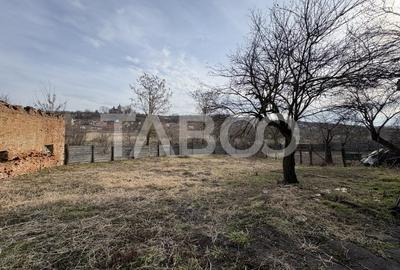 Casa individuala 60 mpu 974 m teren sat Armeni Sibiu - 21