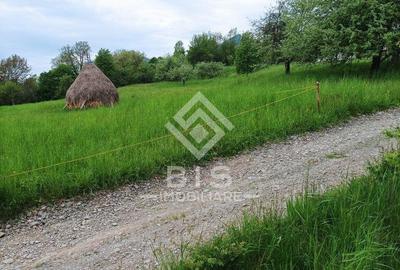 Teren 37.5 ari intravilan - 4