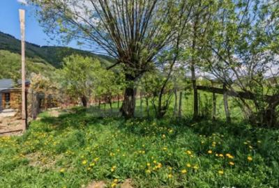 Teren de 1865 mp, în Moieciu - 3