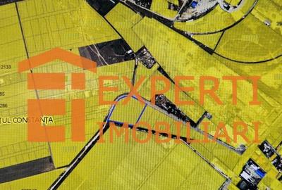 Teren intravilan 7000 mp  situat in zona SERE - VARFUL CU DOR - 1