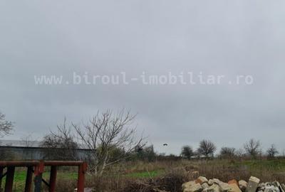 Teren Intravilan pentru Construcție Hală – Agigea, Constanța - 3