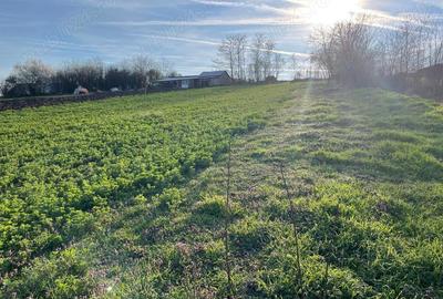 Oportunitate pentru cei ce doresc o casa la ?ara, aproape de ora?, cu toate utilita?ile - 3