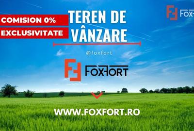 Teren Construcții intravilan de 24700 mp, în Pădureni (Jebel) - 13