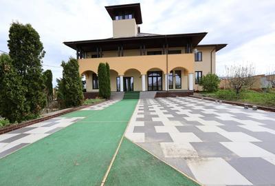 Proprietate spatioasa cu potential turistic - Iasi - 4