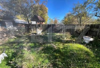 Casă cu 3 camere cu Teren 4500 Mp în Sud - 13