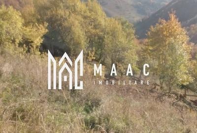 Teren agricol extravilan de 35000 mp, în Bistra - 1