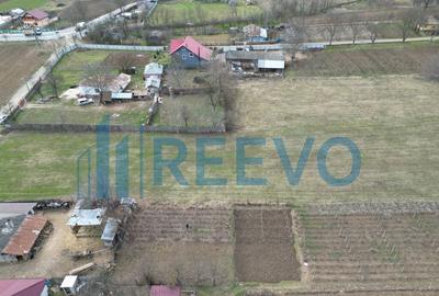 Teren de vanzare, Sat Bazga, Com. Horge?ti, Bacau - 12