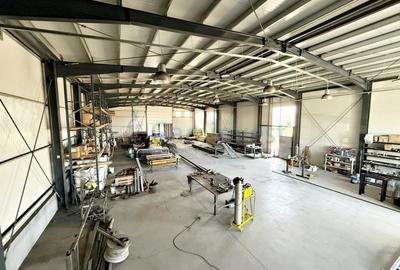 Spațiu industrial, în Nord-Vest - 2