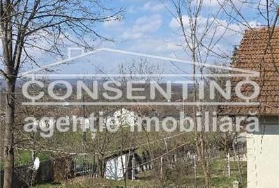 Casă cu 6 camere cu Teren 2200 Mp în Tisău - 6