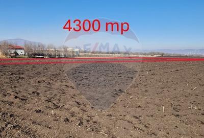 Teren de vanzare 4,300mp Sanpetru / Strada George cosbuc - 6