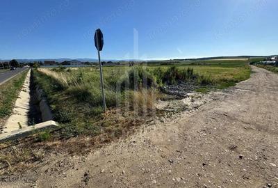 Teren 2500mp Sura Mica - Ocna Sibiului | 162.500 EUR - EXCLUSIVITATE Teren 2500mp Sura Mica - Ocna Sibiului | 162.500 EUR - EXCLUSIVITATE - 2