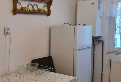 Apartament cu 3 camere semidecomandat în Careiului - 7