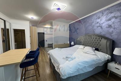 Studio luminos,55 mp, 2022 + parcare, Sinaia, introdus regim hotelier - 10