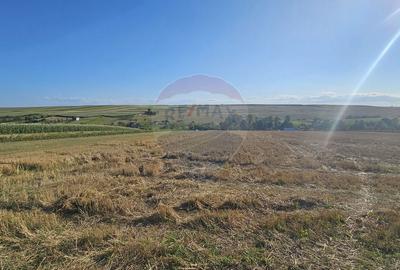 Teren Construcții intravilan de 7500 mp, în Moara Carp - 7