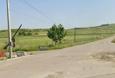 Teren de 14000 mp, în Central - 5