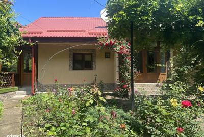 Casă cu 2 camere în Negulești - 4
