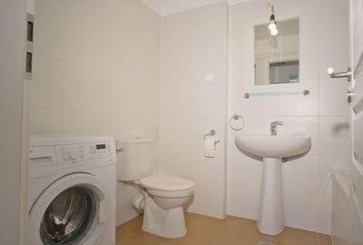 Apartament cu 2 camere decomandat, mobilat în Lipovei - 21