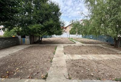 Casa in Calea Aradului pretabilă activități economice - 5