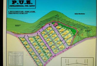 Teren Construcții intravilan de 25000 mp, în Petrăchioaia - 2