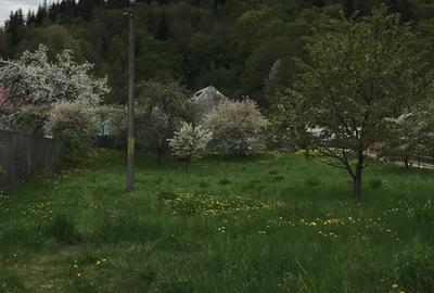 Teren de 5400 mp, în Agapia