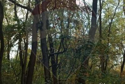 Teren în Sântimreu - 3