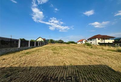 Teren intravilan cu autorizatie de constructie casa Talmaciu - 3