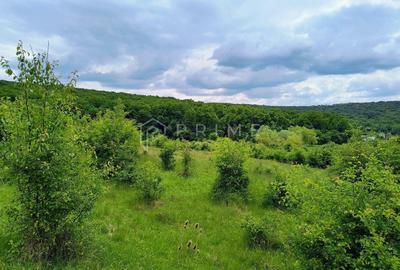 Teren Construcții intravilan de 11600 mp, în Corunca - 5