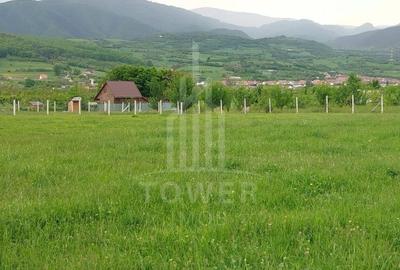 Teren de vinzare in Tropini Vechi - 4