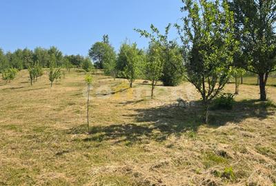Teren Construcții intravilan de 1000 mp, în Sălicea - 4