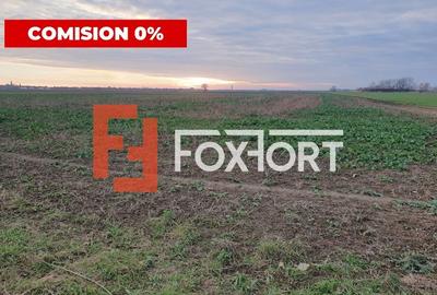 COMISION 0% Teren extravilan agricol 10.000 mp la sosea in Sag - 5