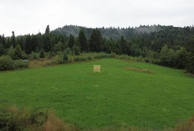 Teren 5023 mp In Bucovina Zona Manastirea Voronet De 07278 - 8