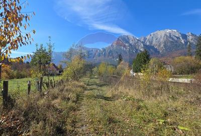 Teren intravilan 1.117 mp cu vedere spectaculoasa spre Crucea Caraiman - 4