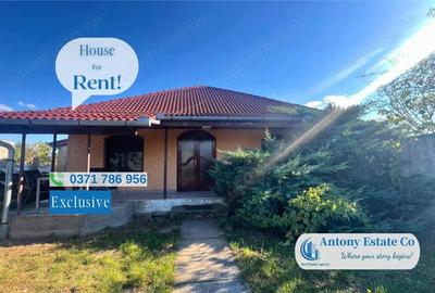 Casa de inchiriat + Hala, Paleu, Oradea - 1