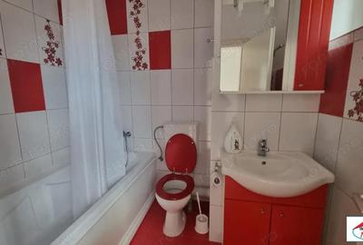Casă în Viile Satu Mare - 17