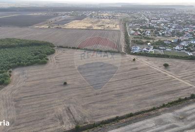 Spațiu comercial, în Tamași - 4