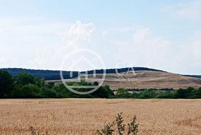 Teren intravilan de vanzare in Fughiu, Bihor - 2