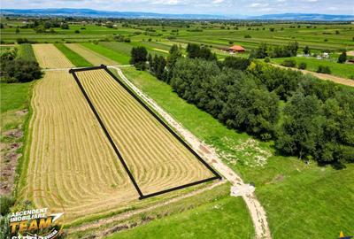 Teren de 2900 mp, în Dobârlău - 5