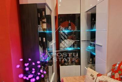 Apartament cu 2 camere decomandat zona Aradului - 5