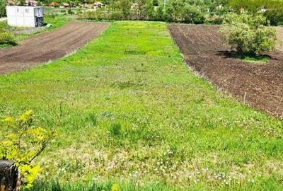 Teren de 2900 mp, în Căianu - 1
