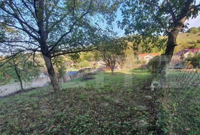 Teren intravilan, podul Jelnei foarte aproape de oras,11 Ari Teren intravilan, podul Jelnei foarte aproape de oras,11 Ari - 2