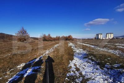 Teren de 2025 mp, în Cetății