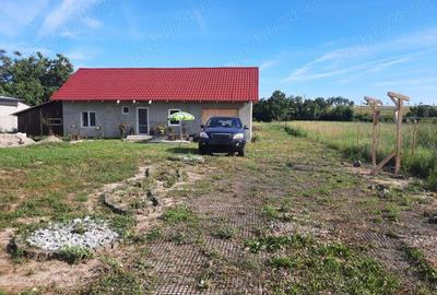 Casa cu teren 2700 mp la 22 km de Oradea - 2