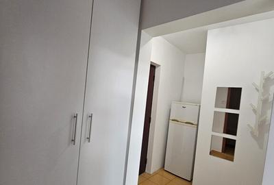 Garsoniera de inchiriat Tineretului - 7