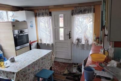 Casă individuală cu 2 camere cu Teren 25000 Mp în Cozia - 8