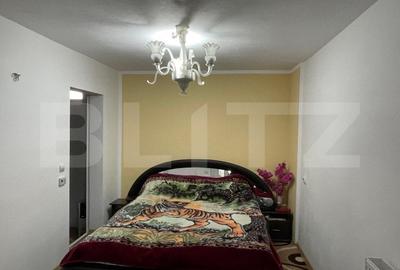 Casa individuala 380 mp, teren 600 mp - centru Alba Iulia - 3